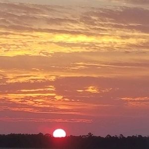 Meet your Posher, Natasha